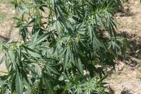 �� ����������� �� �� ������